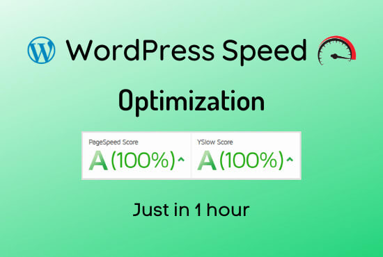 do wordpress speed optimization within 1 hour