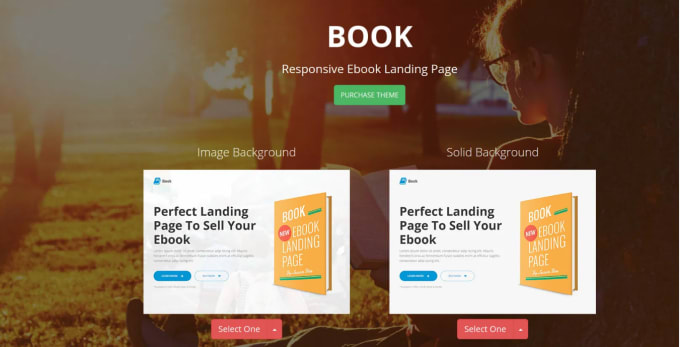 Hire a freelancer to build ebook landing page, create author landing page, do ebook website