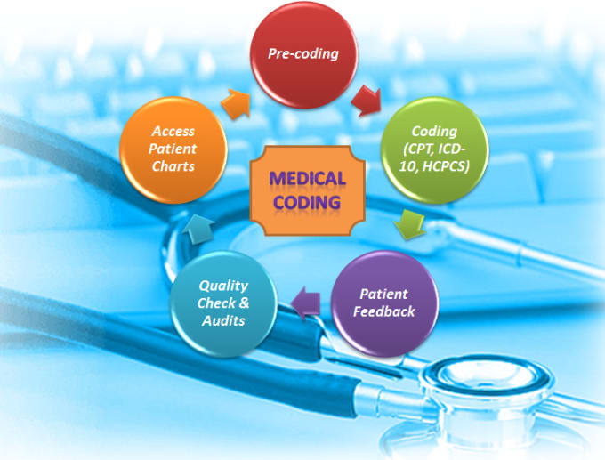 do medical  coding, claims scrubbing, billing and auditing