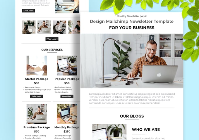design mailchimp email template newsletter and email marketing automation setup