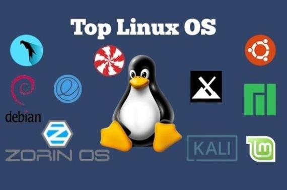 write linux shell bash scripts, kernel modules, device drivers