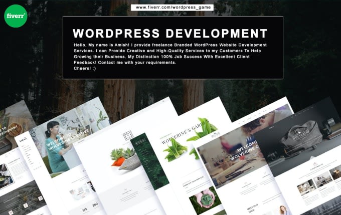 create a professional and responsive wordpress website