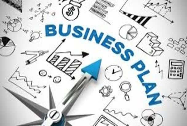 I will prepare business plans for you