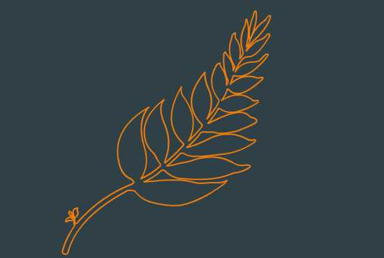 create digital line art video animation in 2d for ads