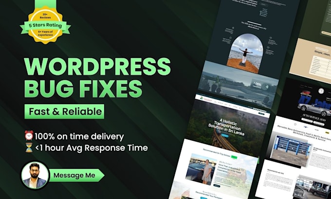fix wordpress errors, bugs and speed up your slow website