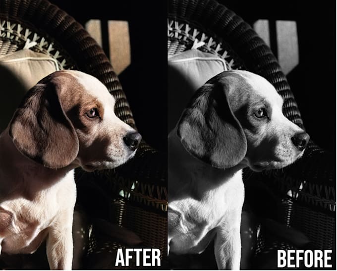 Convert black and white images to color by Kareem_momo Fiverr