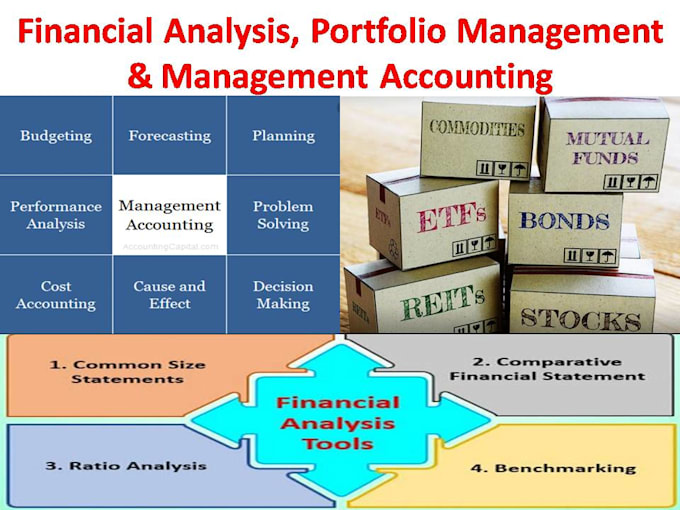 do portfolio management, financial analysis and accounting