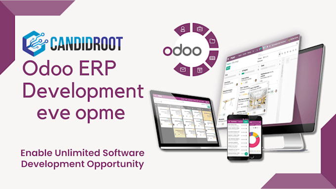 provide odoo development services, module development