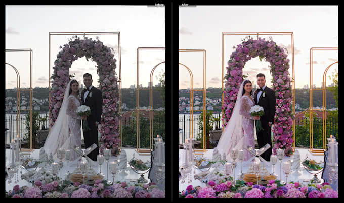 professionally edit your portrait, wedding photos, etc fast