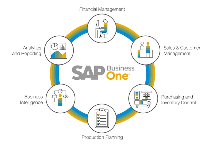 assist in sap b1 and s4 hana projects