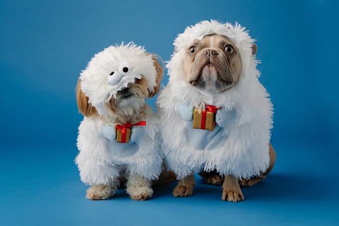 write unique articles on pets