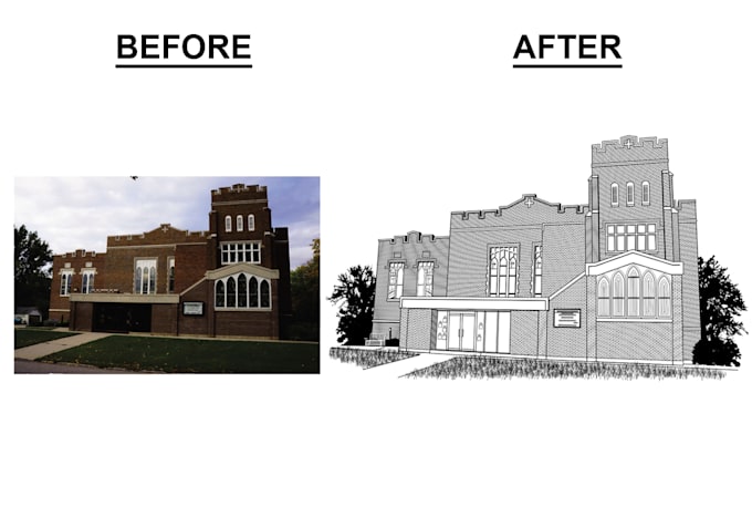 draw vector line art from an image or photo