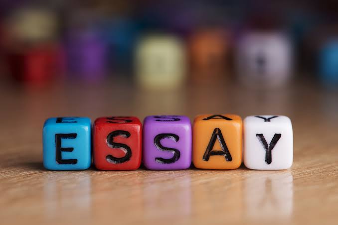 write essays,articles and paragraphs on different topics