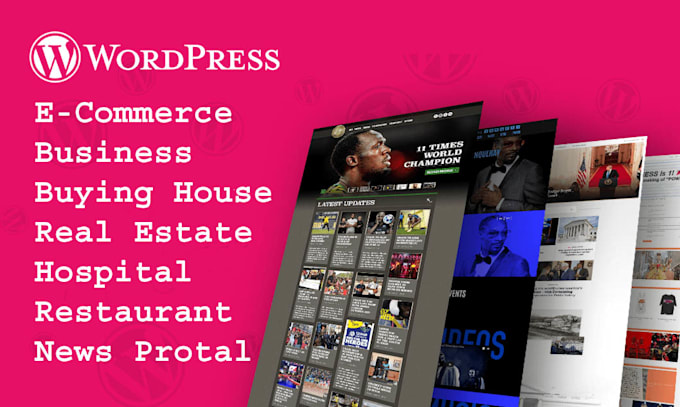 customize your full professional wordpress site