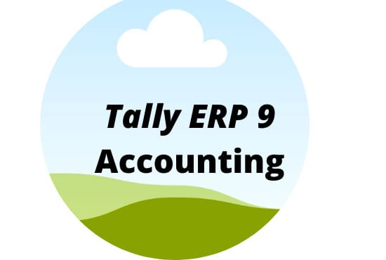 solve your tally erp assignments,problems and projects