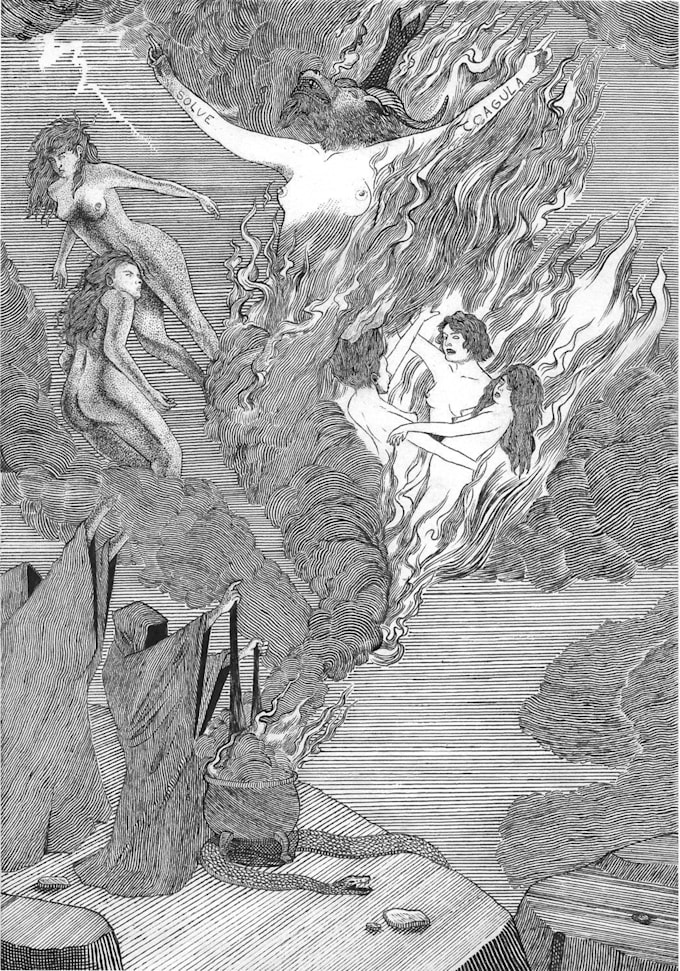 do high detailed pen and ink illustrations, hand drawn