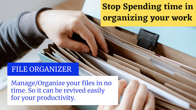 develop a file organizing application