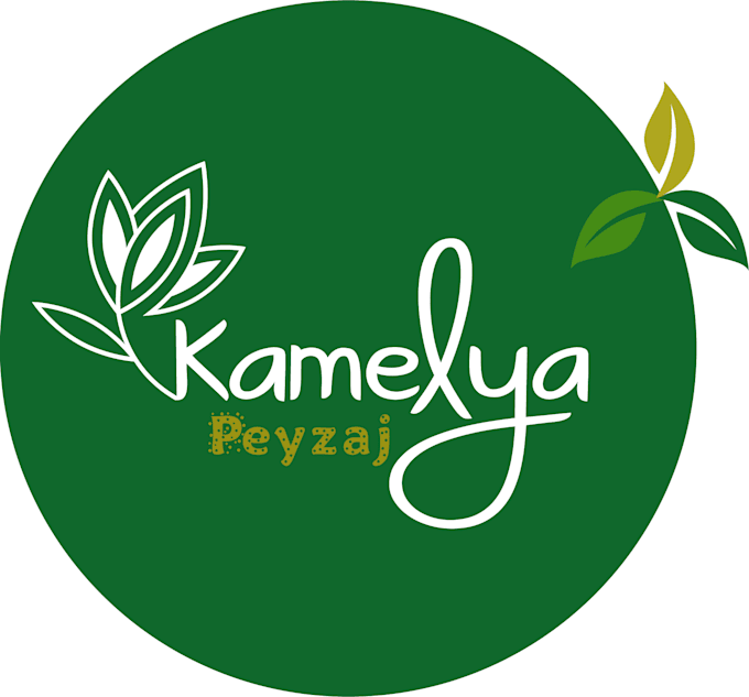 do design professional logo