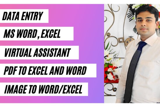 do any type of data entry work in ms excel,word,power point