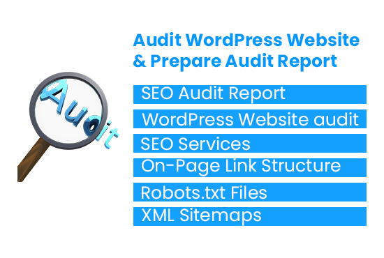 audit your wordpress website to submit complete audit report
