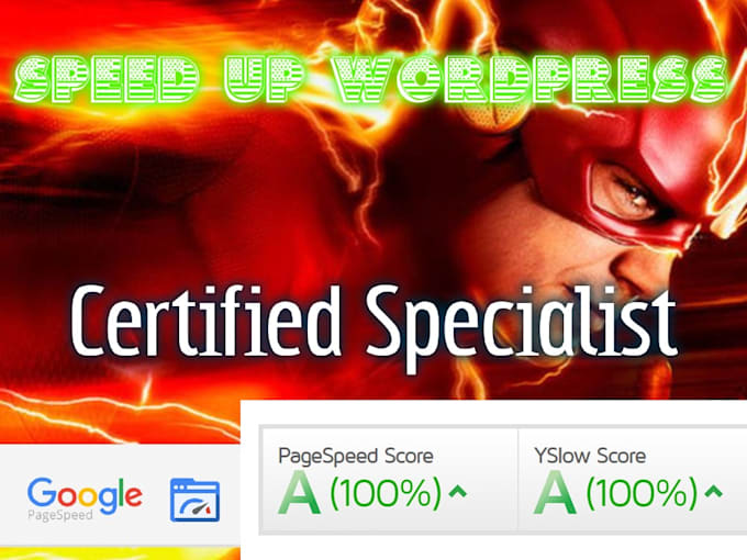 speed up performance wordpress 24 hours no premium plugins