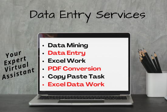 do accurate perfect data entry and copy paste