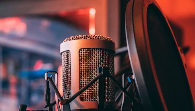 do female vietnamese voiceover 500 words