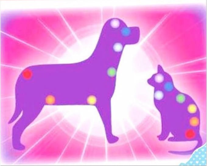 clear stuck emotions from your pet