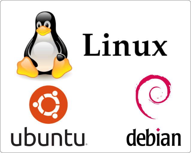 secure your linux servers