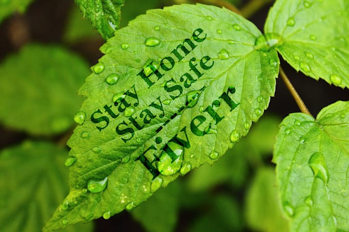 put your message or logo on a leaf