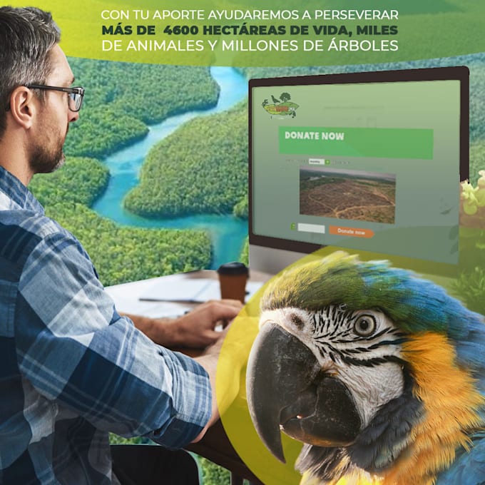 desing an atractive post social media