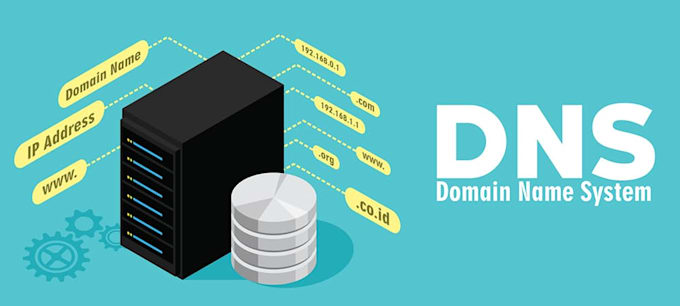 provide expert dns related solutions