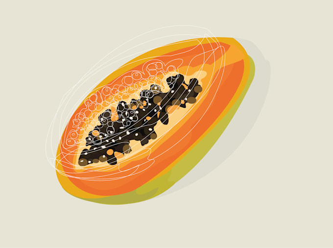 do vector illustration of your image, product, sketch, food