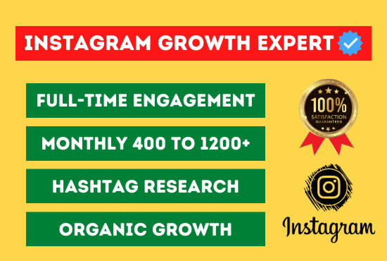 manage your instagram account and increase followers