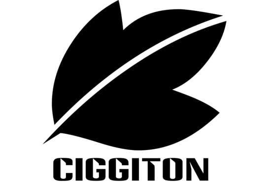 create any logo for you