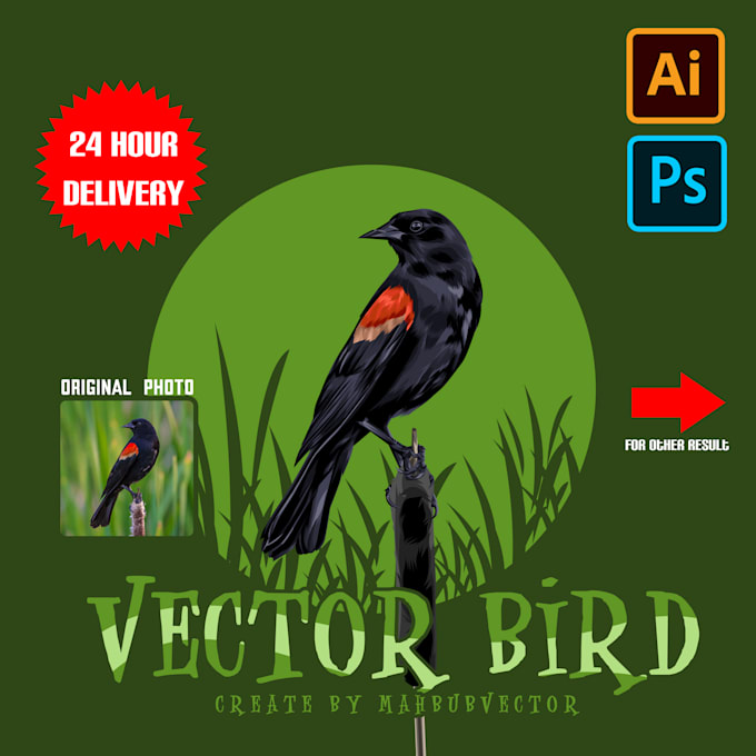 draw your bird into cartoon vector 24 hours