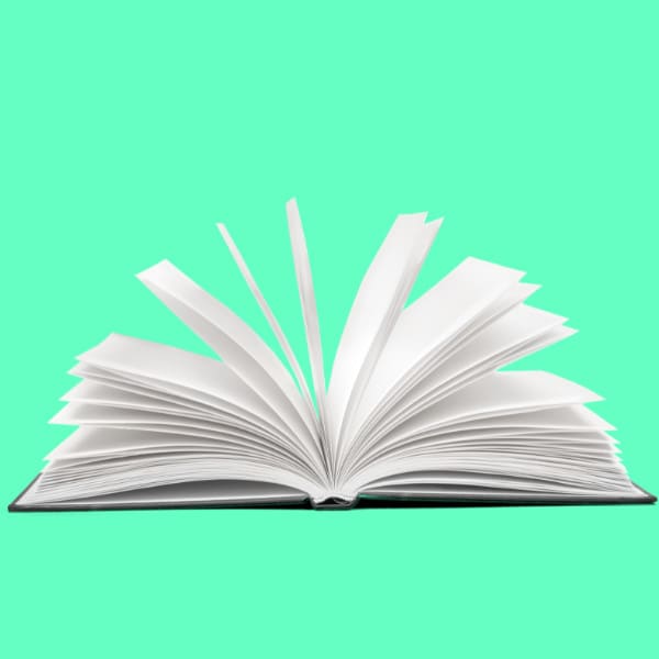 Make a professional correction in spanish by Trabajosperfect Fiverr