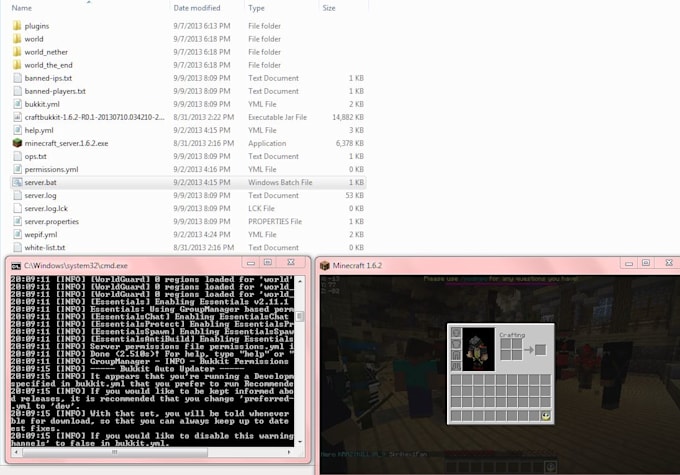 Make you any kind of minecraft server modded or vanilla by N8_shultz ...