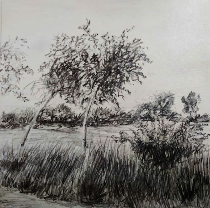 draw pencil sketches drawings and anything you want