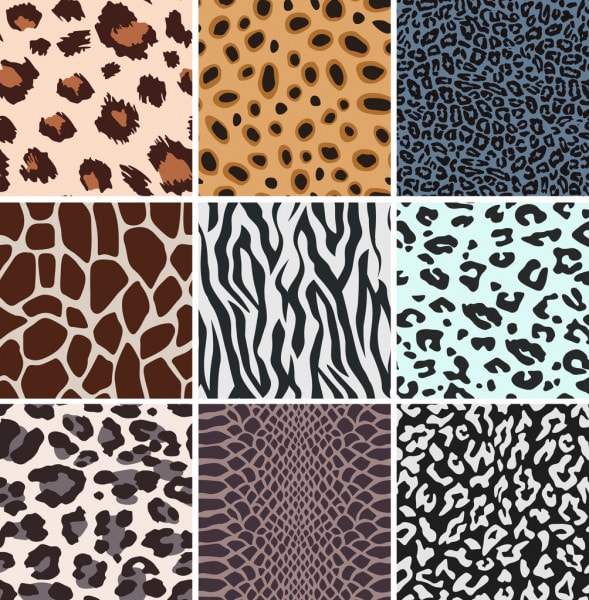 create animal leopard and zebra patterns
