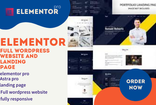design, redesign, clone, revamp or customize the wordpres website with elementor