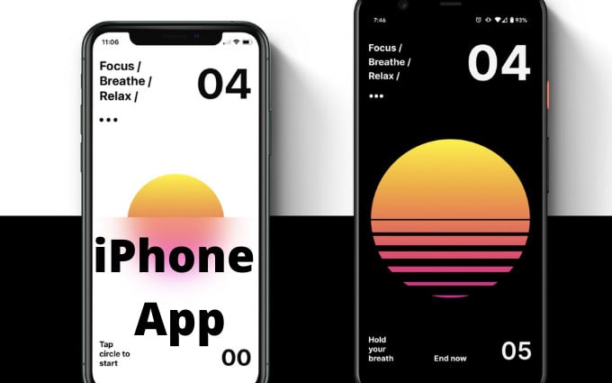 transfer your idea into native ios iphone app in xcode
