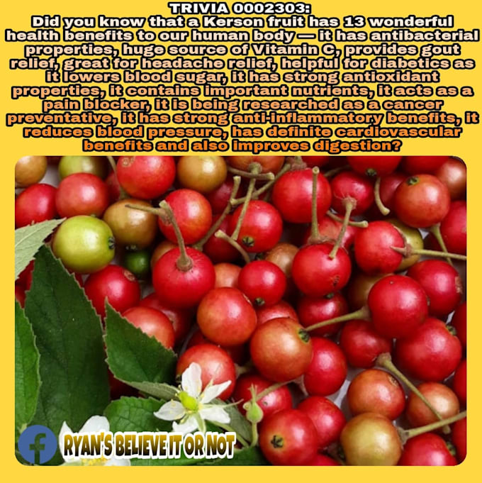 create an eyecatching and mindblowing fun facts