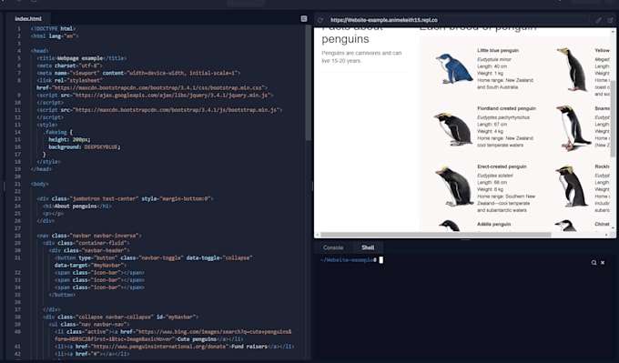 Make a html and css code for a web browser by Penguinm4ster | Fiverr