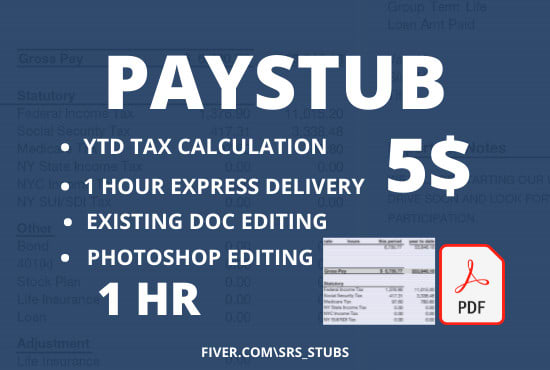 I will design paystub and check stub for employee and contractors