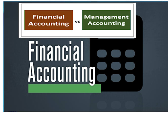 do your financial accounting, auditing, financial statement analysis task
