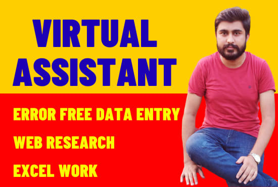 do excel data entry, web research, data entry, copy paste, virtual assistant