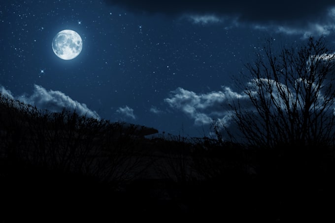 Do cool effects of your choice on your photos by Wood photos Fiverr