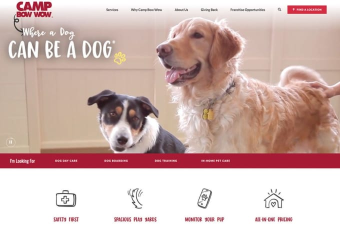 Dog walker and trainer online