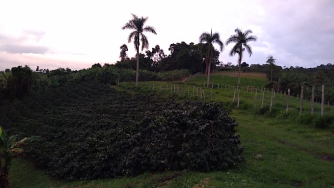 I will be your sourcing manager